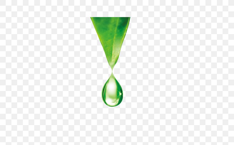 Green Drop Water, PNG, 510x510px, Green, Designer, Drop, Environmental Protection, Google Images Download Free