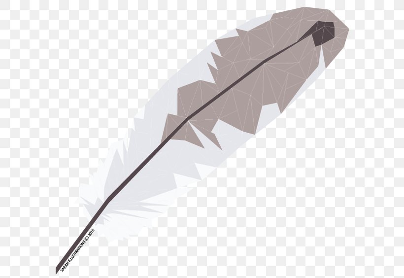 Feather, PNG, 620x564px, Feather, Fashion Accessory, Quill Download Free