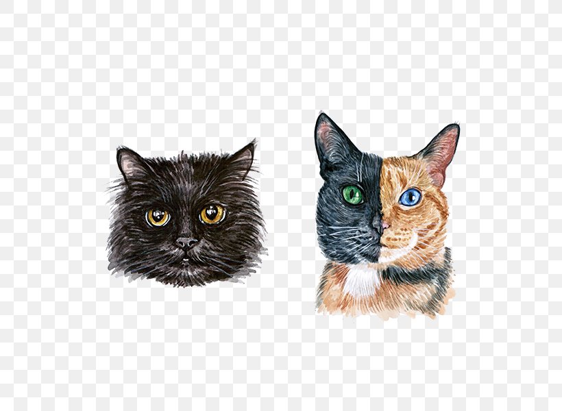 Hand-painted Cute Cat Watercolor Head, PNG, 600x600px, American Shorthair, Avatar, Black Cat, Carnivoran, Cat Download Free