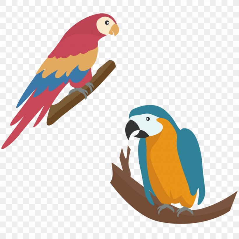 Parrot Touch Fruit : Preschool Game Simple Game For Kids Diamant Koninkrijk Koninkrijk, PNG, 1000x1000px, Parrot, Android, Beak, Bird, Common Pet Parakeet Download Free