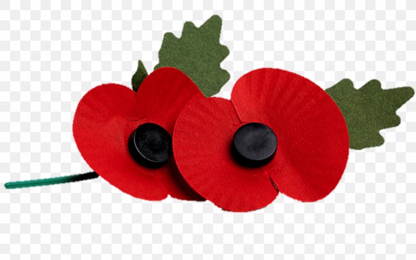 Remembrance Day Poppy Emoji