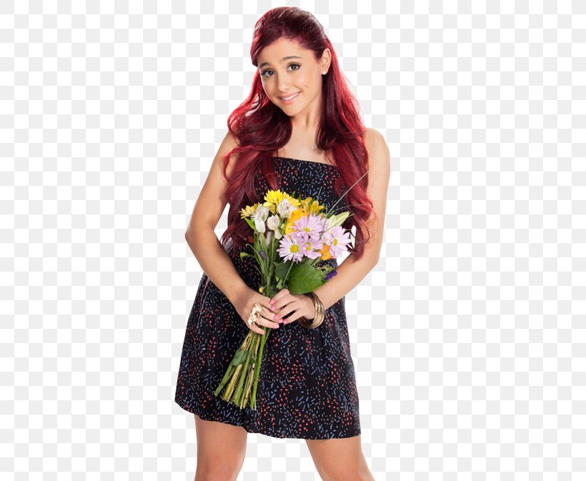 Ariana Grande Victorious Cat Valentine Television, PNG, 500x673px, Watercolor, Cartoon, Flower, Frame, Heart Download Free
