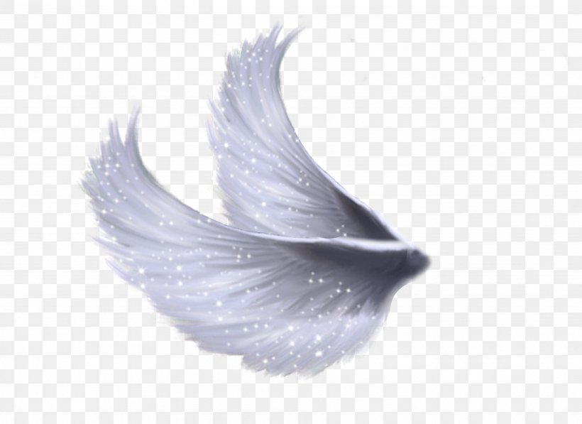 Clip Art, PNG, 3656x2664px, Sticker, Angel, Deviantart, Feather, Wing Download Free