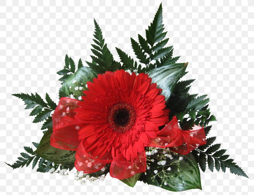 Cut Flowers Transvaal Daisy Floristry Flower Bouquet, PNG, 800x630px, Flower, Annual Plant, Chrysanthemum, Chrysanths, Cut Flowers Download Free