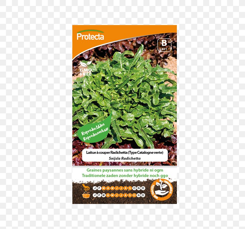 Leaf Vegetable Benih Herb Genetically Modified Organism Seed, PNG, 688x768px, Leaf Vegetable, Benih, Biological Pest Control, Fertilisers, Genetically Modified Organism Download Free