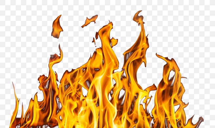 Clip Art Image Flame Fire, PNG, 800x490px, Flame, Combustion, Explosion, Fire, Orange Download Free