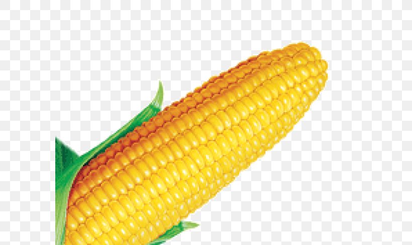 Vegetable Cartoon, PNG, 600x487px, Maize, Corn, Corn Kernel, Corn Kernels, Corn On The Cob Download Free