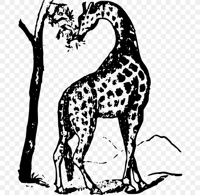 Giraffe Dog Black And White Clip Art, PNG, 676x800px, Giraffe, Art, Black, Black And White, Branch Download Free