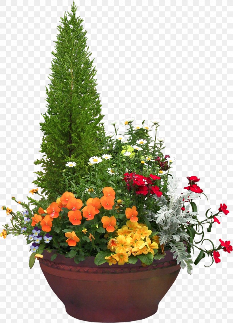 Natal Luz, PNG, 868x1200px, Natal Luz, Annual Plant, Bonsai, Christmas Lights, Cut Flowers Download Free