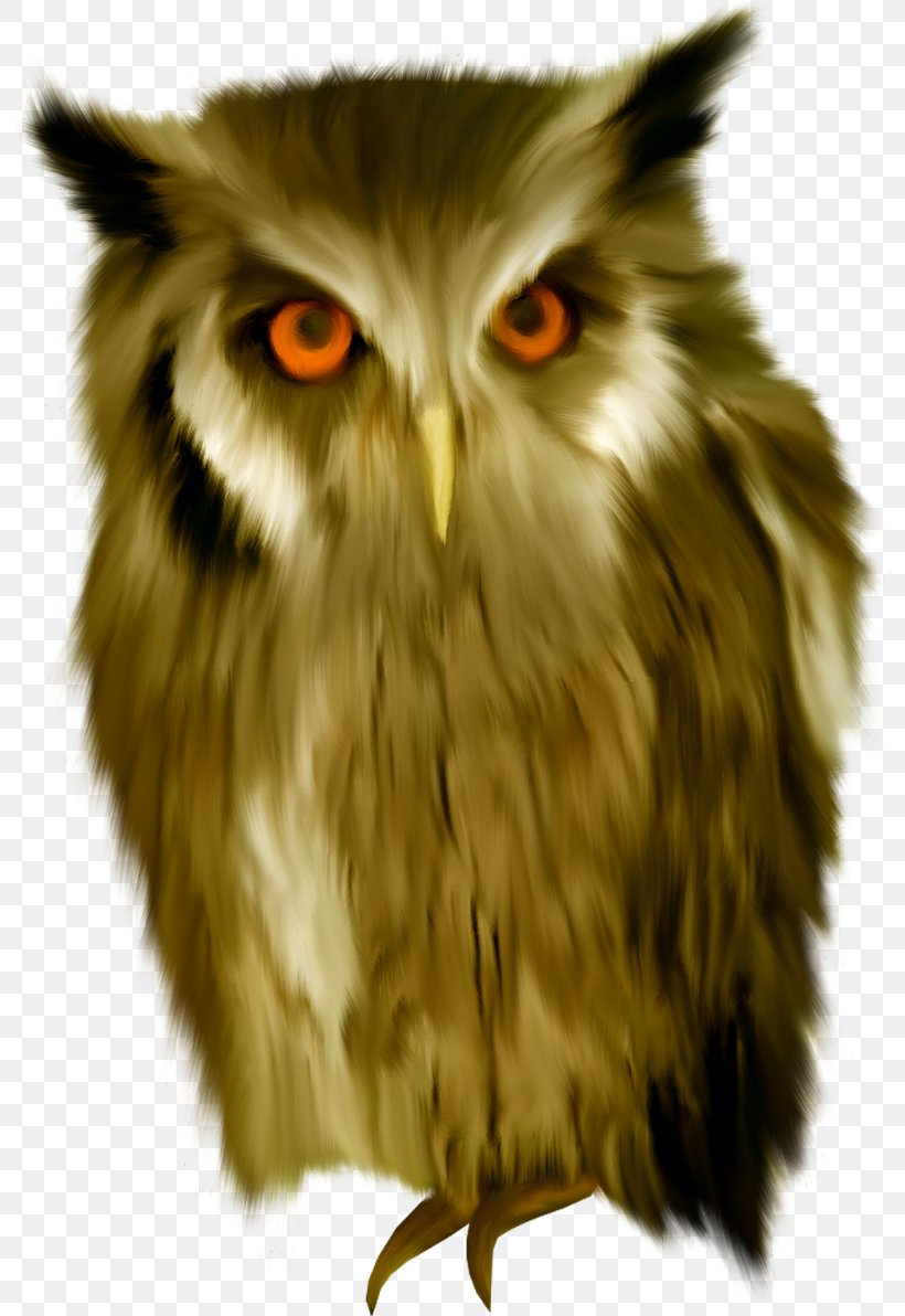 Snowy Owl Bird Clip Art, PNG, 800x1192px, Owl, Animaatio, Beak, Bird, Bird Of Prey Download Free