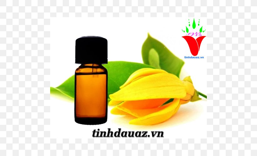 Cananga Odorata Tinh Dầu Ngọc Lan Tây Essential Oil Perfume, PNG, 500x500px, Cananga Odorata, Citronella Oil, Essential Oil, Extraction, Incense Download Free