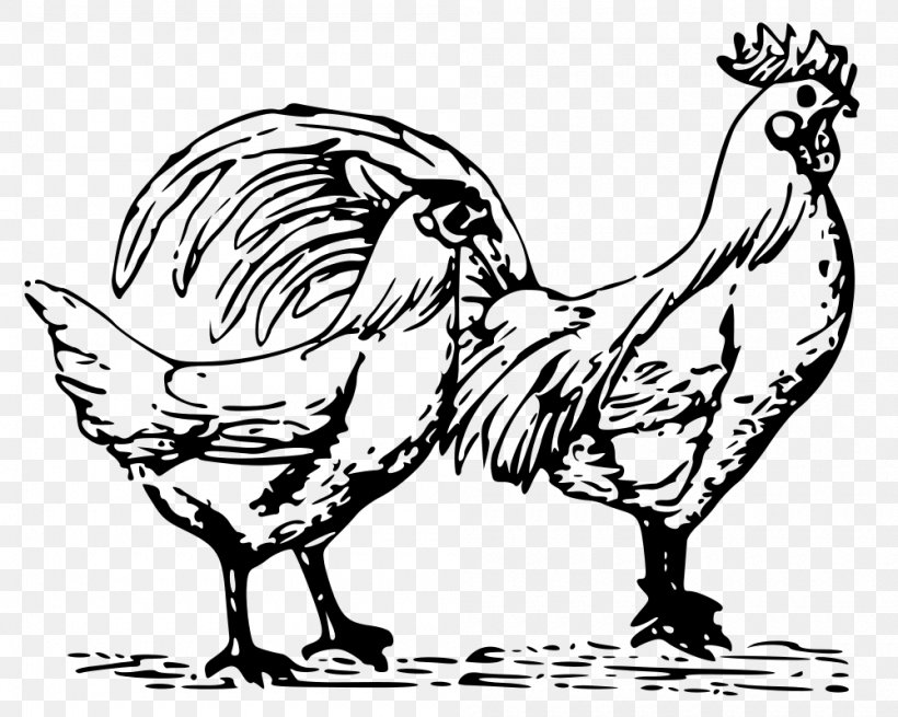 Chicken Bird Rooster Drawing Clip Art, PNG, 1000x799px, Chicken, Animal, Art, Artwork, Beak Download Free