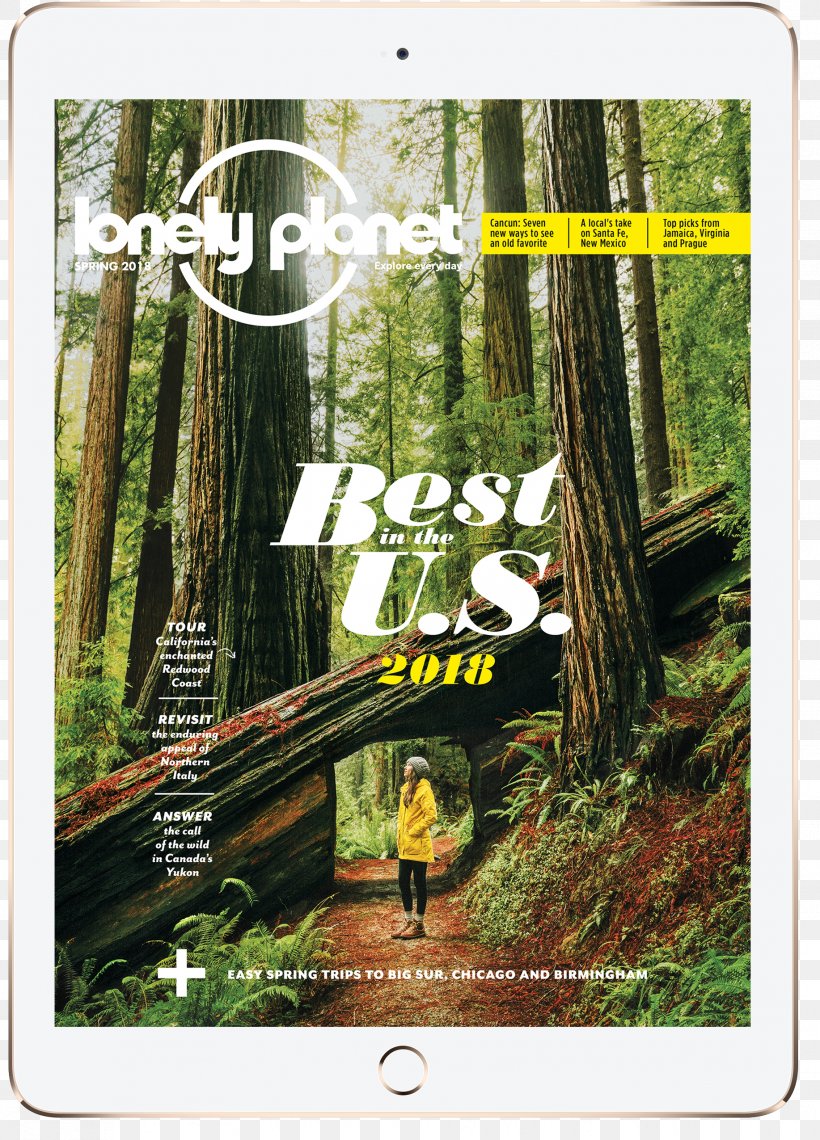 Ecosystem Rainforest Calenticos Magazine Flora, PNG, 1834x2551px, Ecosystem, Blue, Flora, Forest, Issuu Download Free