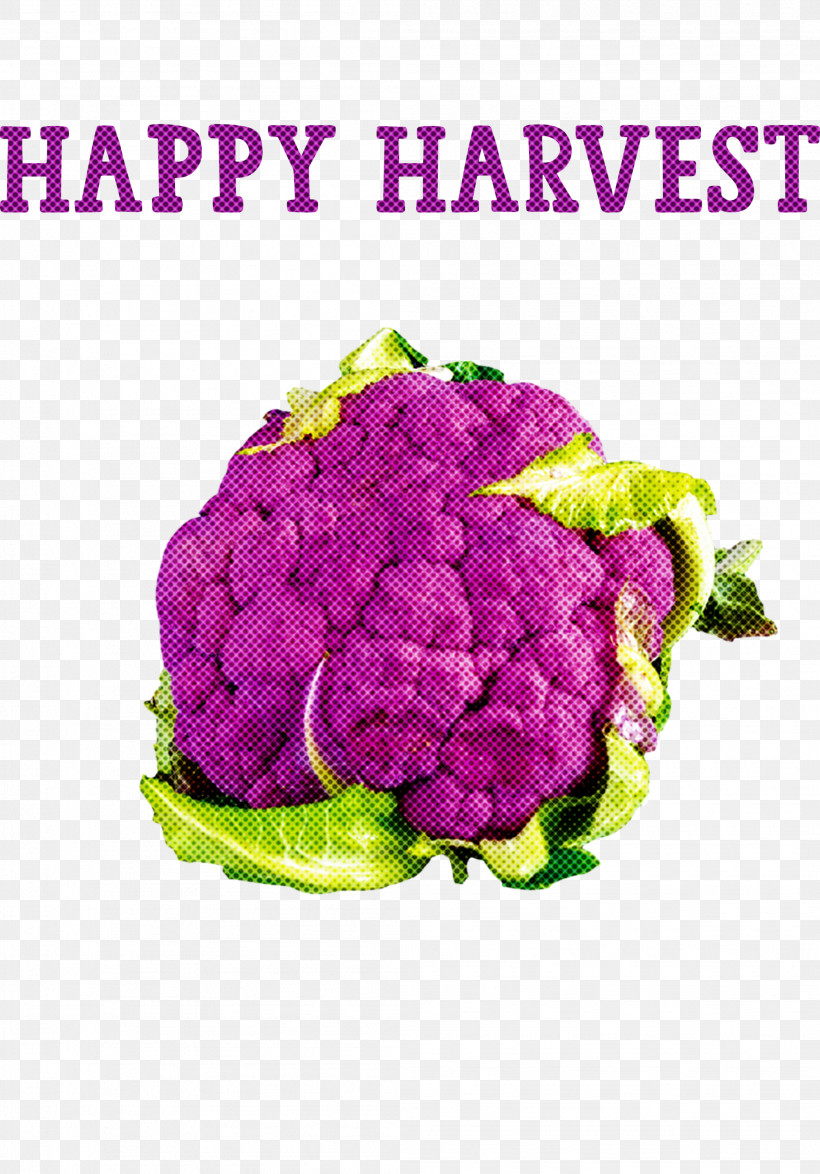 Happy Harvest Harvest Time, PNG, 2094x3000px, Happy Harvest, Broccoli, Brussels Sprout, Cauliflower, Chili Pepper Download Free