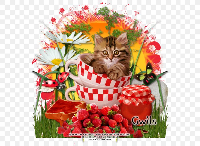 Kitten Cut Flowers Tile Floral Design, PNG, 600x600px, Kitten, Cat, Cat Like Mammal, Ceramic, Cup Download Free