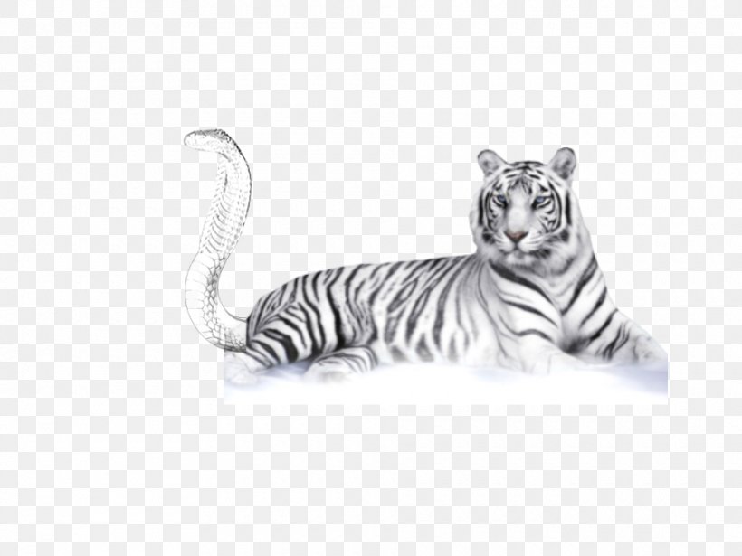 White Tiger Bengal Tiger Clip Art, PNG, 960x720px, White Tiger, Animal, Bengal Tiger, Big Cat, Big Cats Download Free
