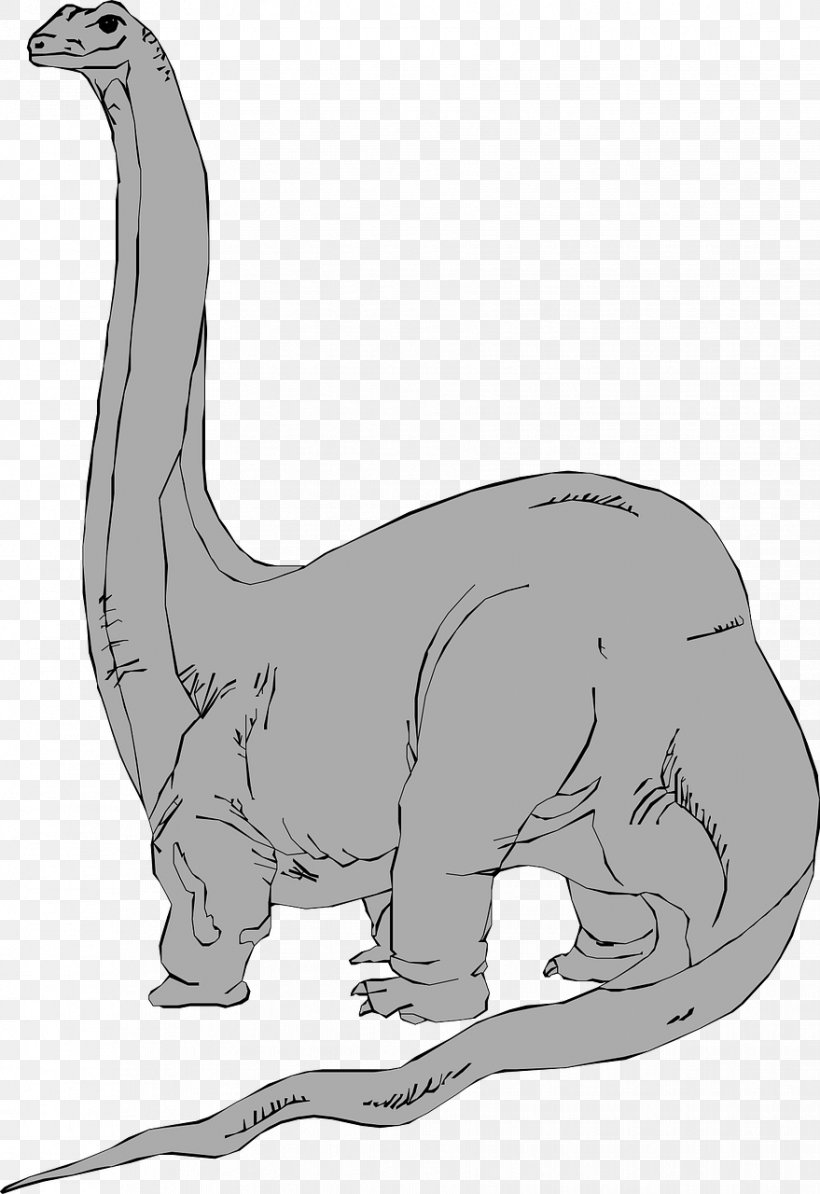 Brachiosaurus Brontosaurus Apatosaurus Dinosaur Clip Art, PNG, 879x1280px, Brachiosaurus, Apatosaurus, Beak, Black And White, Blog Download Free