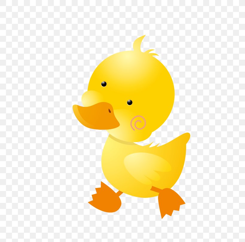 Cartoon Duck, PNG, 737x811px, Duck, American Black Duck, Animal, Beak, Bird Download Free