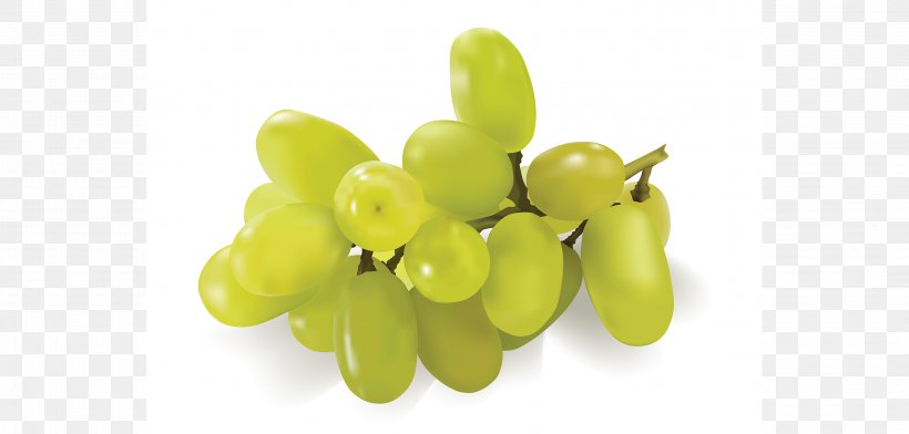 Grape, PNG, 2953x1414px, Grape, Food, Fruit, Grapevine Family, Vitis Download Free