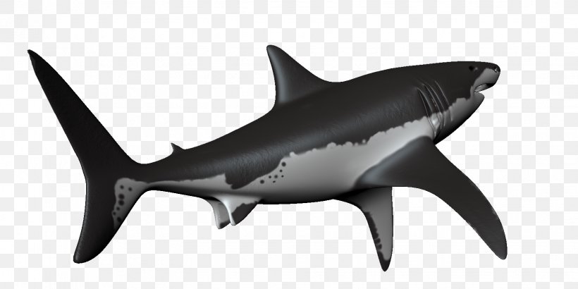 Hammerhead Shark Requiem Shark Great White Shark, PNG, 1633x817px, Hammerhead Shark, Animal Figure, Animation, Apng, Blue Shark Download Free