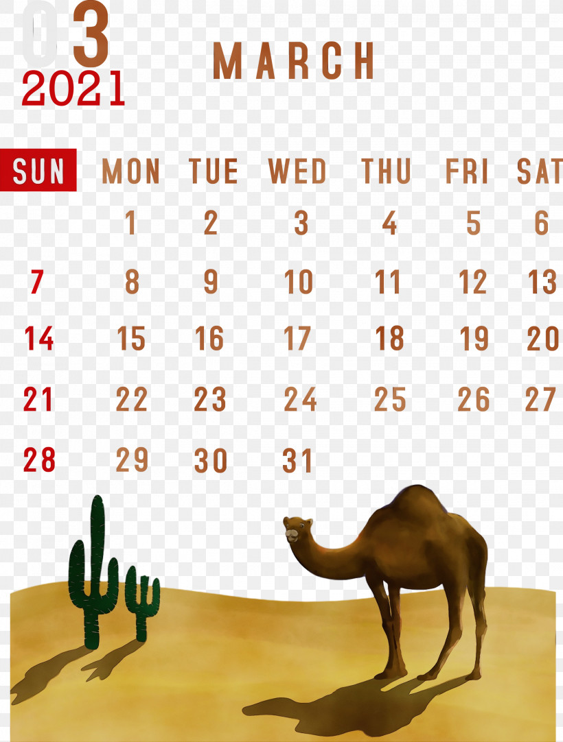 Lunar Calendar Font Meter Calendar System Month, PNG, 2272x3000px, 2021 Calendar, March 2021 Printable Calendar, Biology, Calendar System, Line Download Free