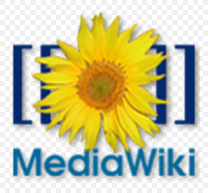 MediaWiki Wiki Software Computer Software Wikimedia Foundation, PNG, 760x760px, Mediawiki, Computer Software, Cut Flowers, Daisy Family, Flower Download Free