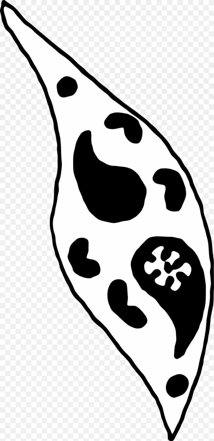 Clip Art Nose Leaf Line Art, PNG, 872x1797px, Nose, Artwork, Black And White, Human Nose, Leaf Download Free