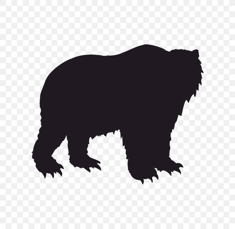 Grizzly Bear Polar Bear American Black Bear Kodiak Bear, PNG, 800x800px, Grizzly Bear, American Black Bear, Animal, Bear, Black Download Free