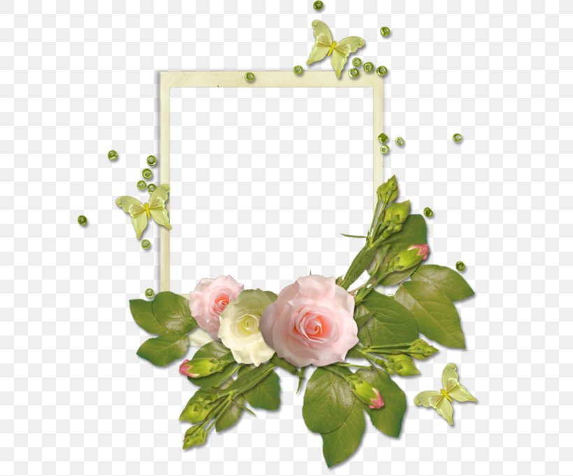 Picture Frame Beach Rose Pink, PNG, 600x681px, Picture Frame, Artificial Flower, Beach Rose, Cut Flowers, Digital Photo Frame Download Free