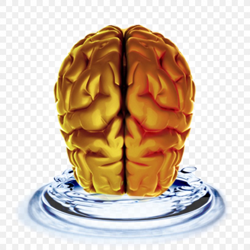 Brain Dietary Supplement Memory Neurology Alertness, PNG, 1024x1024px, Watercolor, Cartoon, Flower, Frame, Heart Download Free