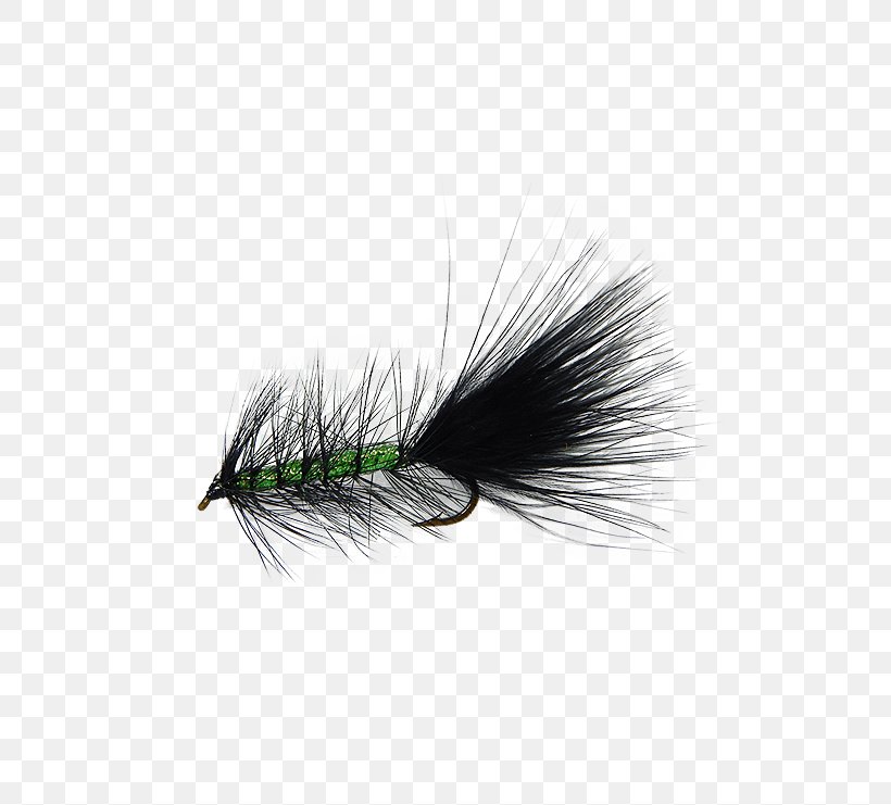 Bugger Rainbow Trout Great Lakes Insect Holly Flies, PNG, 555x741px, Bugger, Artificial Fly, Discounts And Allowances, Feather, Fly Download Free