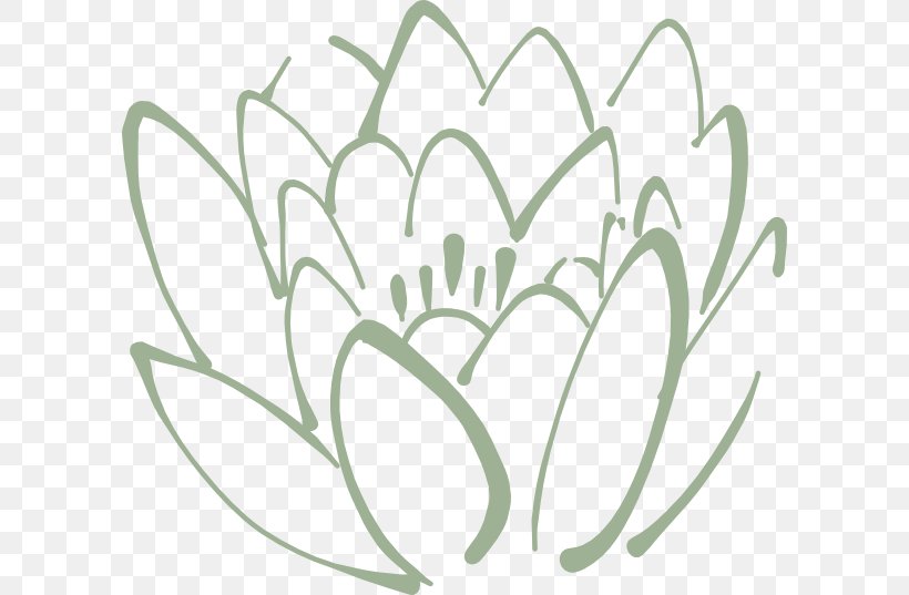 Drawing Sacred Lotus Image Coloring Book Sketch, PNG, 600x537px, Drawing, Art, Black And White, Branch, Coloring Book Download Free