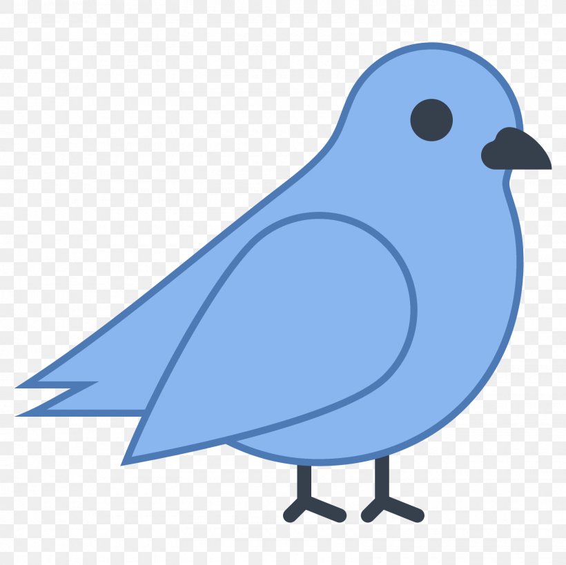 Bird Beak, PNG, 1600x1600px, Bird, Artwork, Beak, Bluebird, Cobalt Blue Download Free