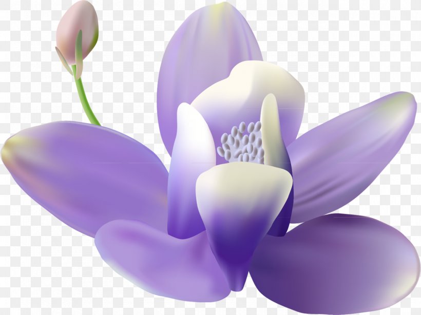 Flower Mural Wall Painting, PNG, 1280x959px, Flower, Art, Creative Work, Flowering Plant, Lilac Download Free