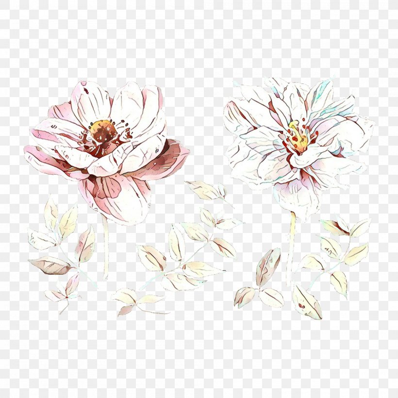 Flowers Background, PNG, 2000x2000px, Floral Design, Blossom, Cut Flowers, Flower, Magnolia Download Free