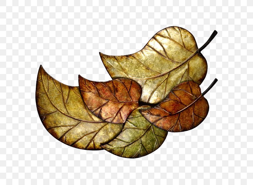 Leaf RGB Color Model, PNG, 600x600px, Leaf, Branch, Brown, Color, Computer Software Download Free