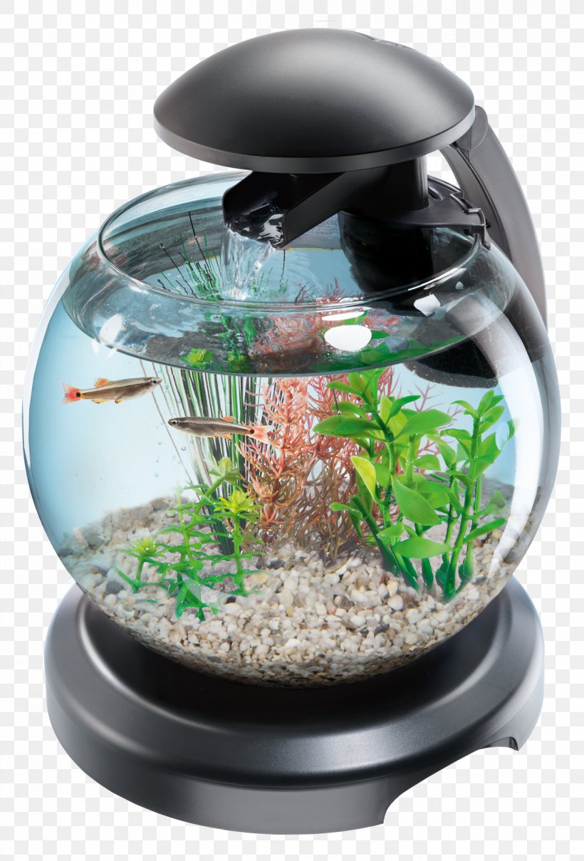 Aquarium Tetra Goldfish Filtration Siamese Fighting Fish, PNG, 1201x1772px, Aquarium, Aquarium Filters, Aquascaping, Filtration, Fish Download Free