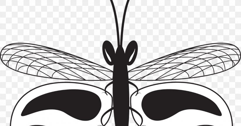 Butterfly Insect Drawing Arthropod Clip Art, PNG, 1200x630px, Butterfly, Arthropod, Black And White, Drawing, Firefly Download Free
