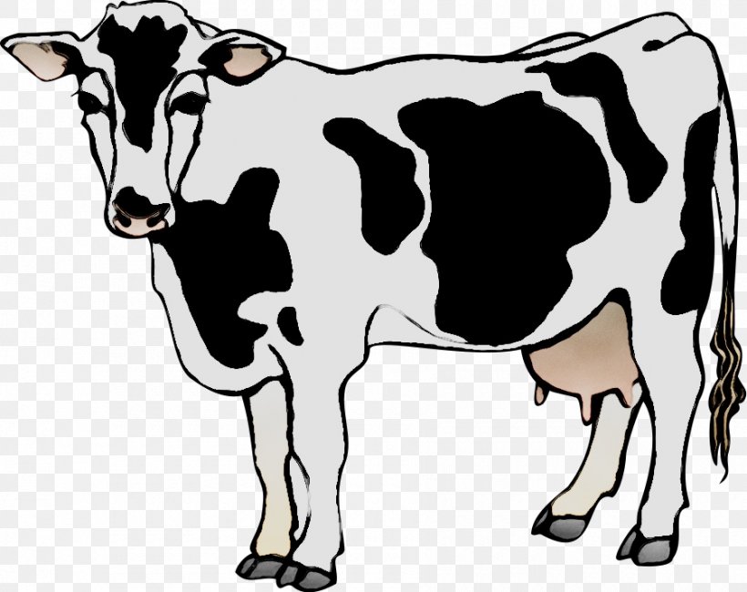 Clip Art Dairy Cattle Angus Cattle Holstein Friesian Cattle, PNG, 900x714px, Dairy Cattle, Angus Cattle, Animal Figure, Art, Beef Cattle Download Free