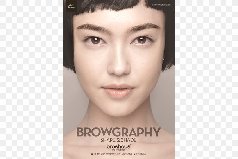 Fiona Fussi Threading Eyelash Extensions Eyebrow Eye Liner, PNG, 990x660px, Fiona Fussi, Beauty, Black Hair, Brown Hair, Cheek Download Free