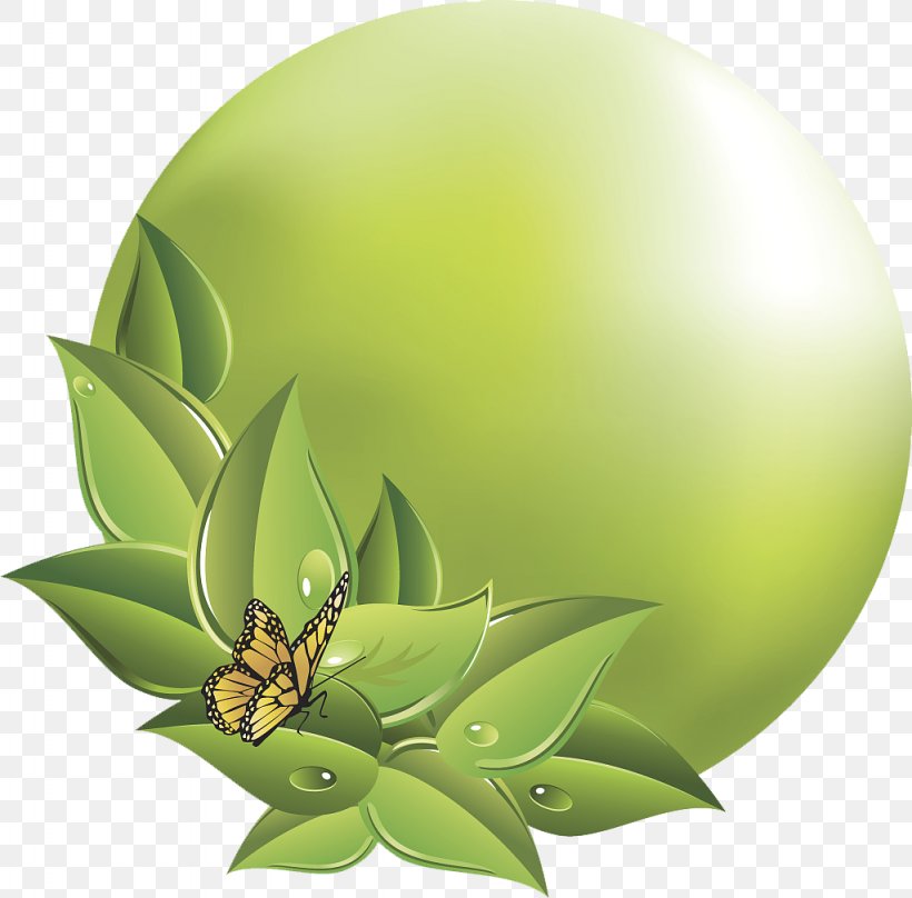 Icon, PNG, 1024x1010px, Computer Graphics, Chart, Flower, Fruit, Green Download Free