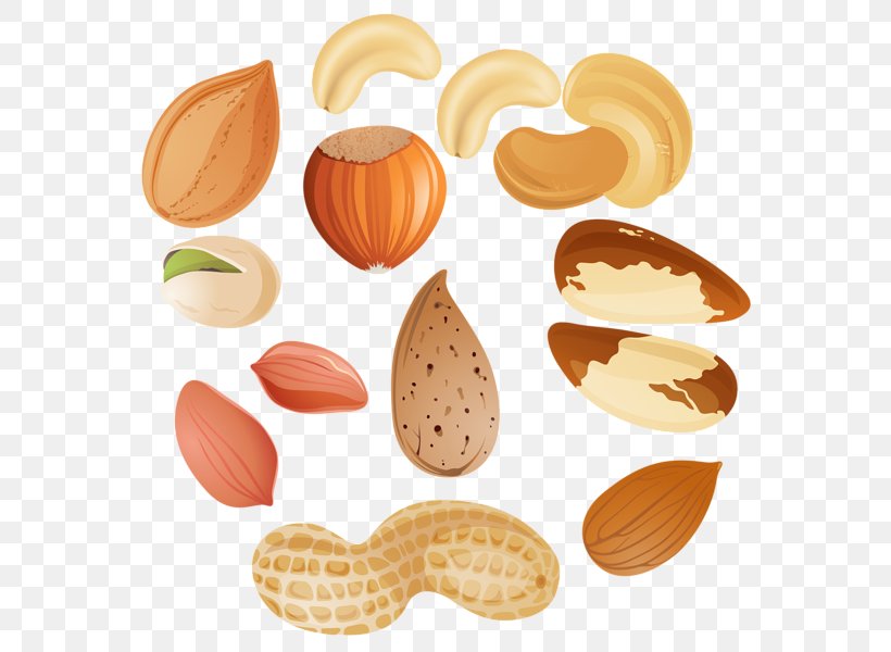 Mixed Nuts Tree Nut Allergy Peanut Clip Art, PNG, 582x600px, Nut, Acorn, Almond, Cashew, Commodity Download Free