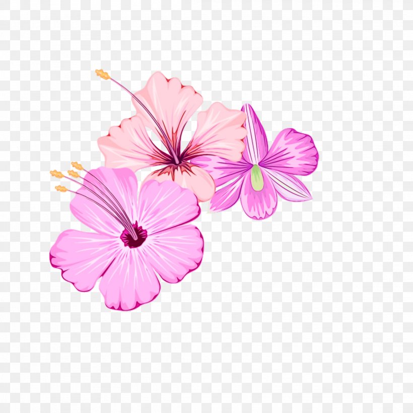 Pink Petal Flower Plant Flowering Plant, PNG, 2289x2289px, Watercolor, Flower, Flowering Plant, Geranium, Hibiscus Download Free