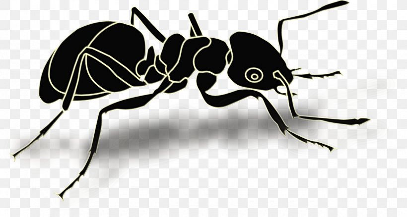 Ant Cartoon, PNG, 1280x685px, Ant, Atta Laevigata, Black Garden Ant, Carpenter Ant, Insect Download Free