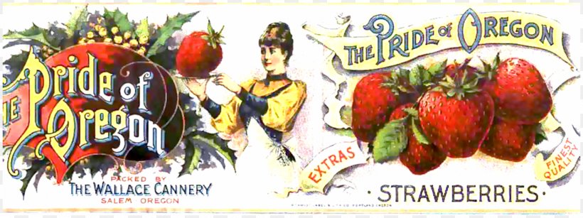 Oregon City Strawberry Food Fruit, PNG, 1532x575px, Oregon City, Advertising, Aedmaasikas, Art, Berry Download Free