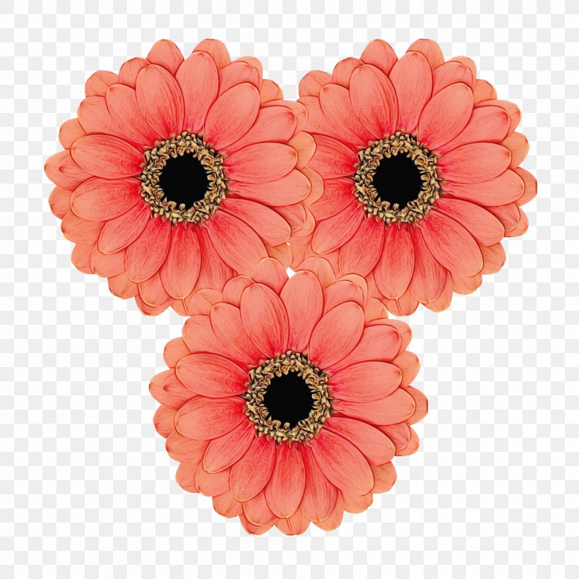 Transvaal Daisy Florist Holland B.V. Cut Flowers Floristry Product, PNG, 1772x1772px, Transvaal Daisy, Artificial Flower, Barberton Daisy, Cut Flowers, Daisy Family Download Free