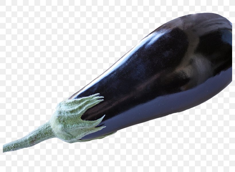 Vegetarian Cuisine Aubergines Vegetable Image, PNG, 800x600px, Vegetarian Cuisine, Animation, Art, Aubergines, Bruschetta Download Free