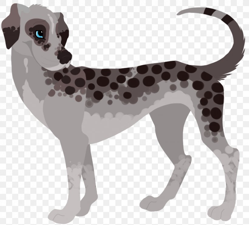 Dog Breed Italian Greyhound Dalmatian Dog, PNG, 828x751px, Dog Breed, Breed, Carnivoran, Dalmatian, Dalmatian Dog Download Free