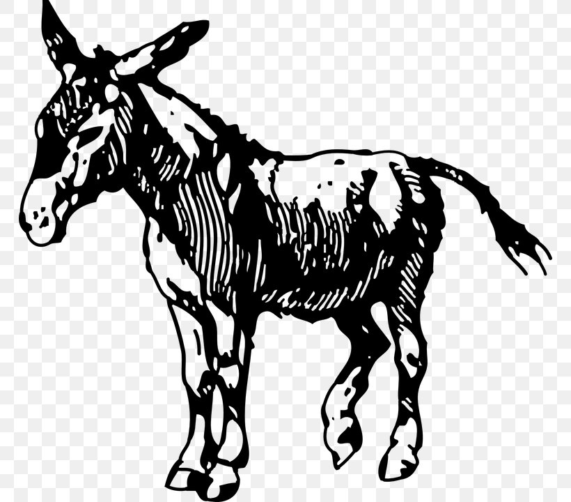 Donkey Drawing Clip Art, PNG, 766x720px, Donkey, Animal Figure, Art, Black And White, Bridle Download Free