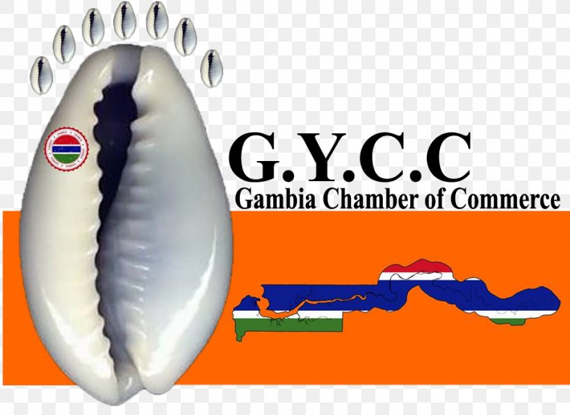 Gambia Business Entrepreneurship Chamber Of Commerce, PNG, 960x701px, Gambia, Business, Chamber Of Commerce, Chief Executive, Entrepreneurship Download Free